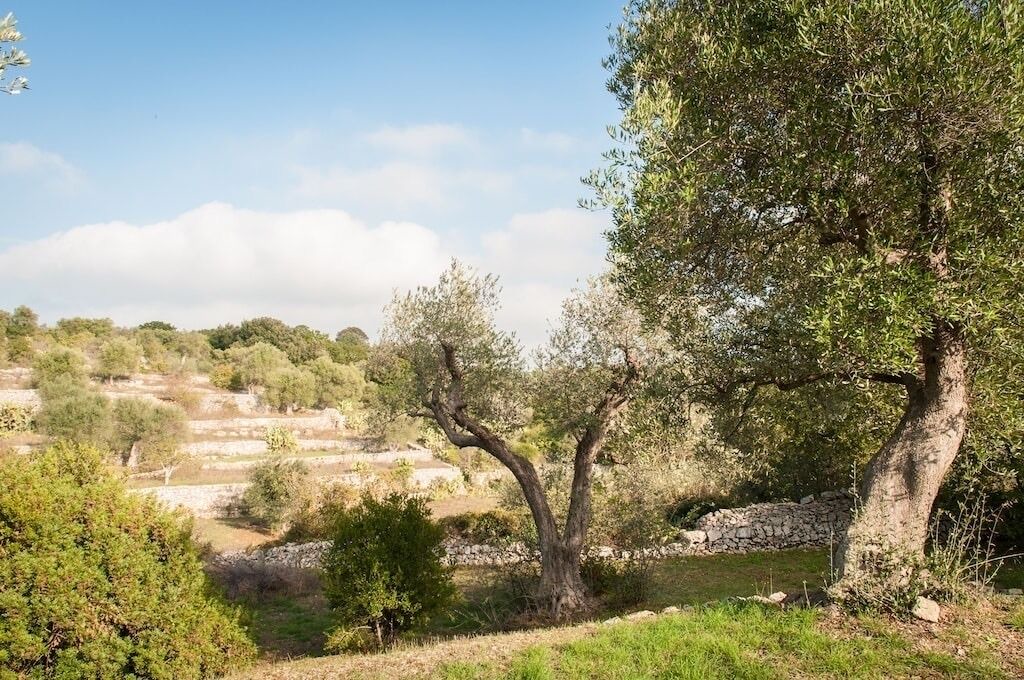 Photo of Outdoor in Ostuni
