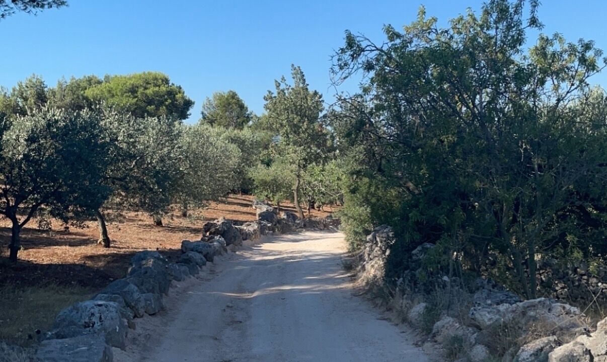 Photo of Others in Ostuni