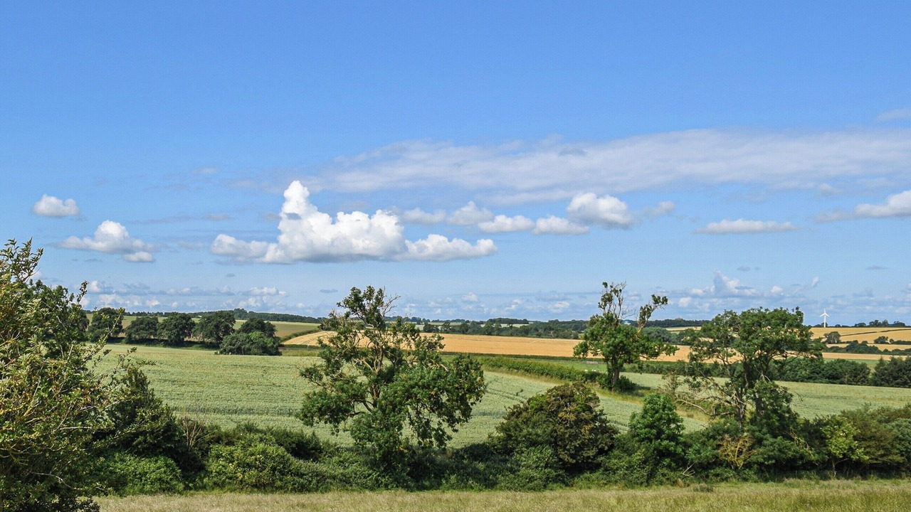 Photo of Others in Oakham