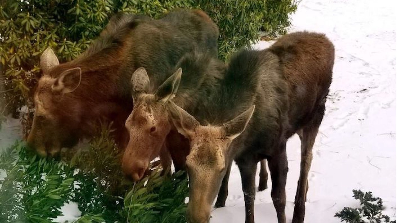 Photo of Others in Post Falls