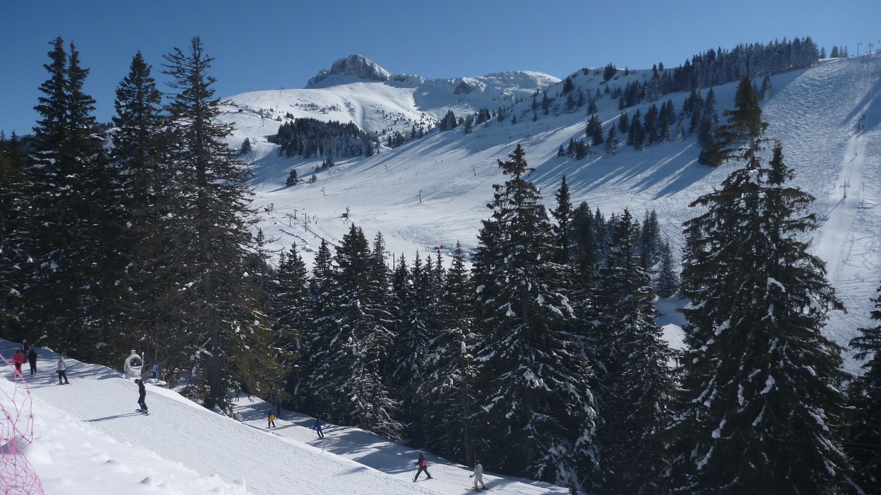 Photo of Others in Thollon-les-Memises
