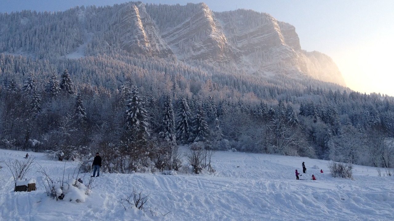 Photo of Others in Thollon-les-Memises