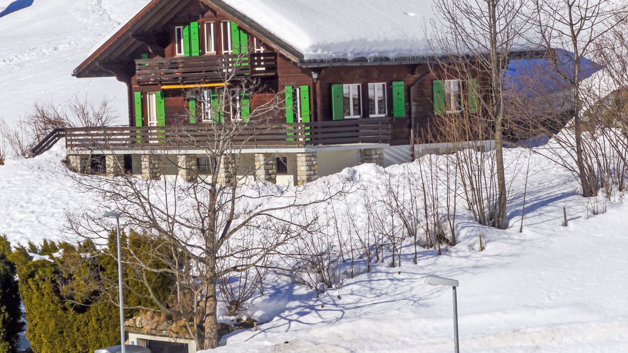 Photo of Others in Grindelwald