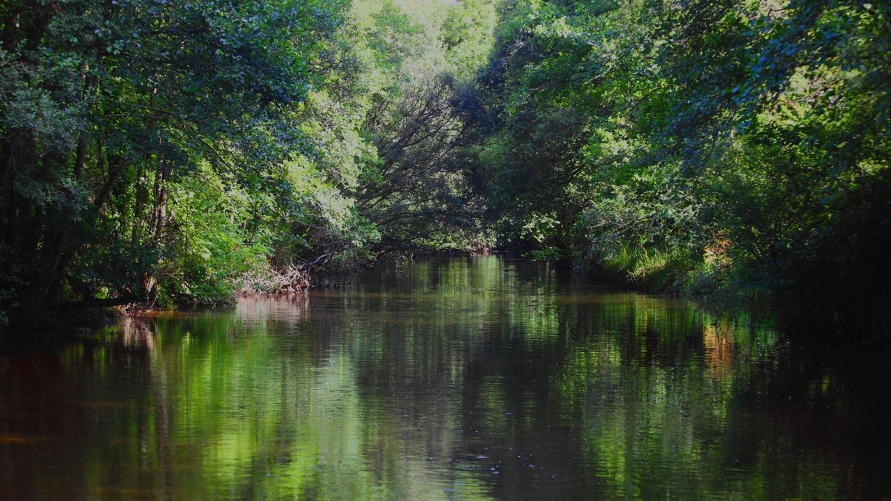 Photo of Others in Loperec