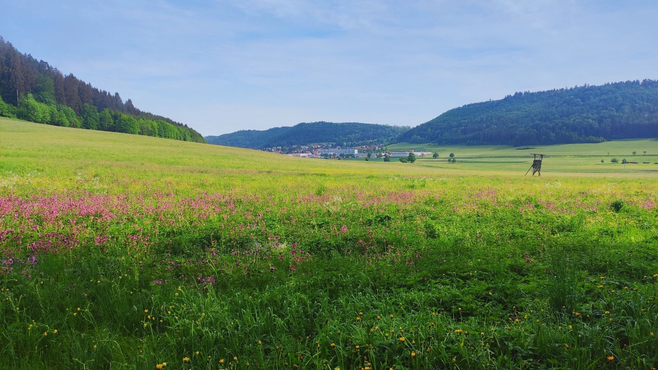 Photo of Others in Gemarkung Tieringen