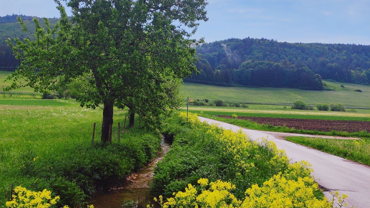Photo of Others in Gemarkung Tieringen