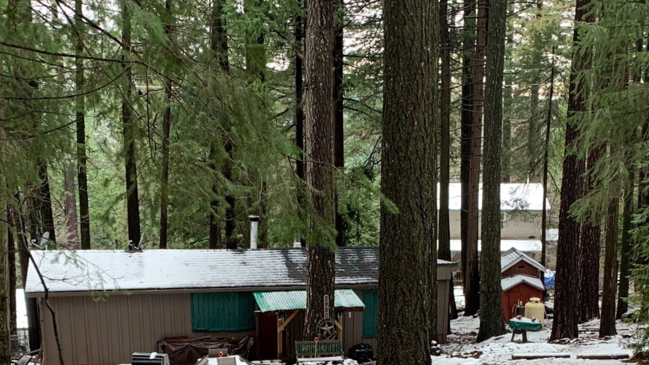 Photo of Outdoor in Pollock Pines