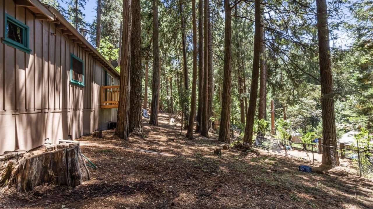 Photo of Others in Pollock Pines
