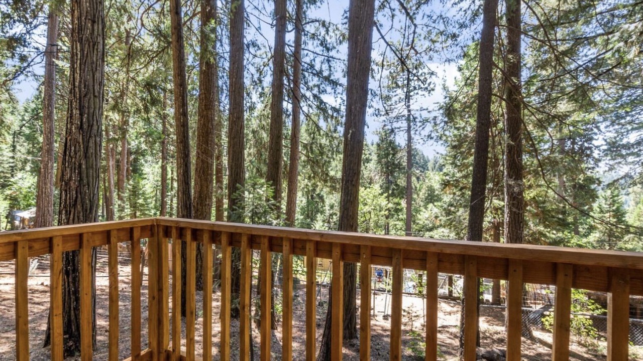 Photo of Others in Pollock Pines