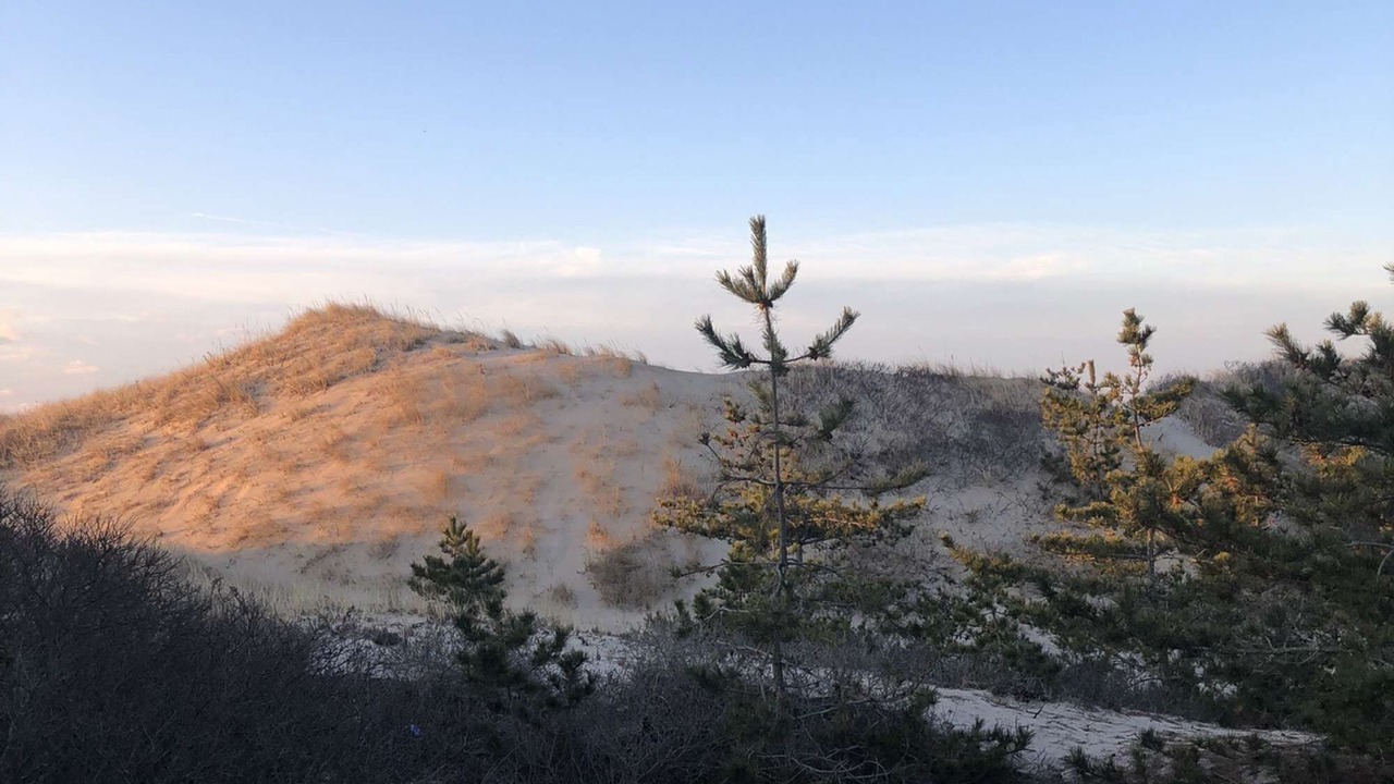 Photo of Outdoor in Napeague