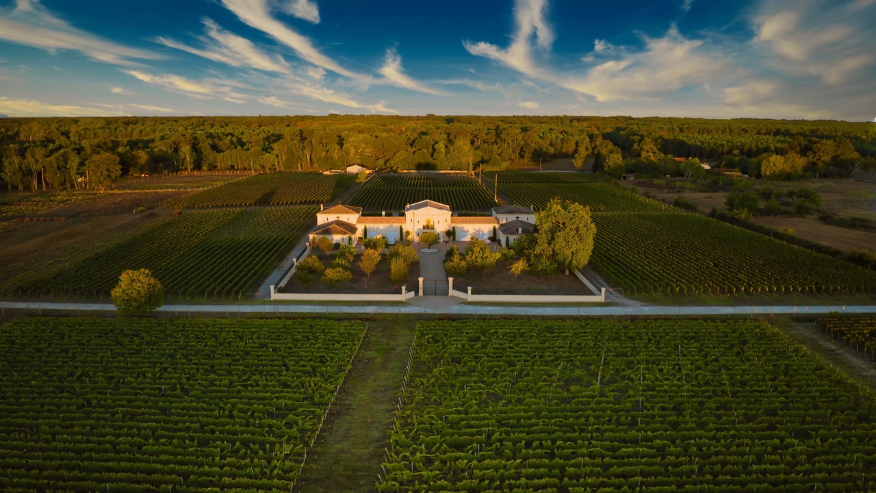 Photo of Outdoor in Saint-Laurent-de-Medoc