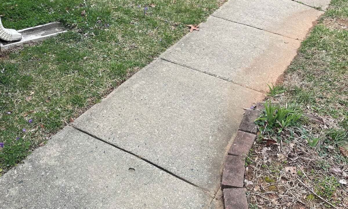 Photo of Outdoor in Greensboro