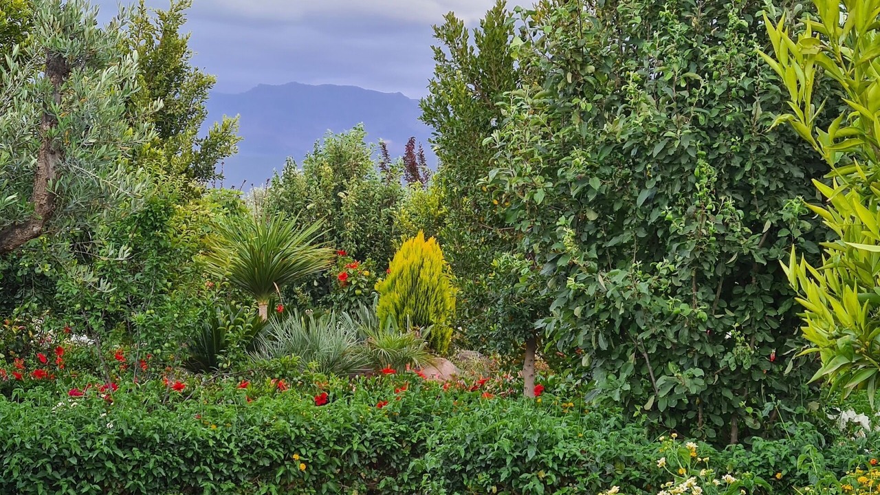 Photo of Outdoor in Ourika
