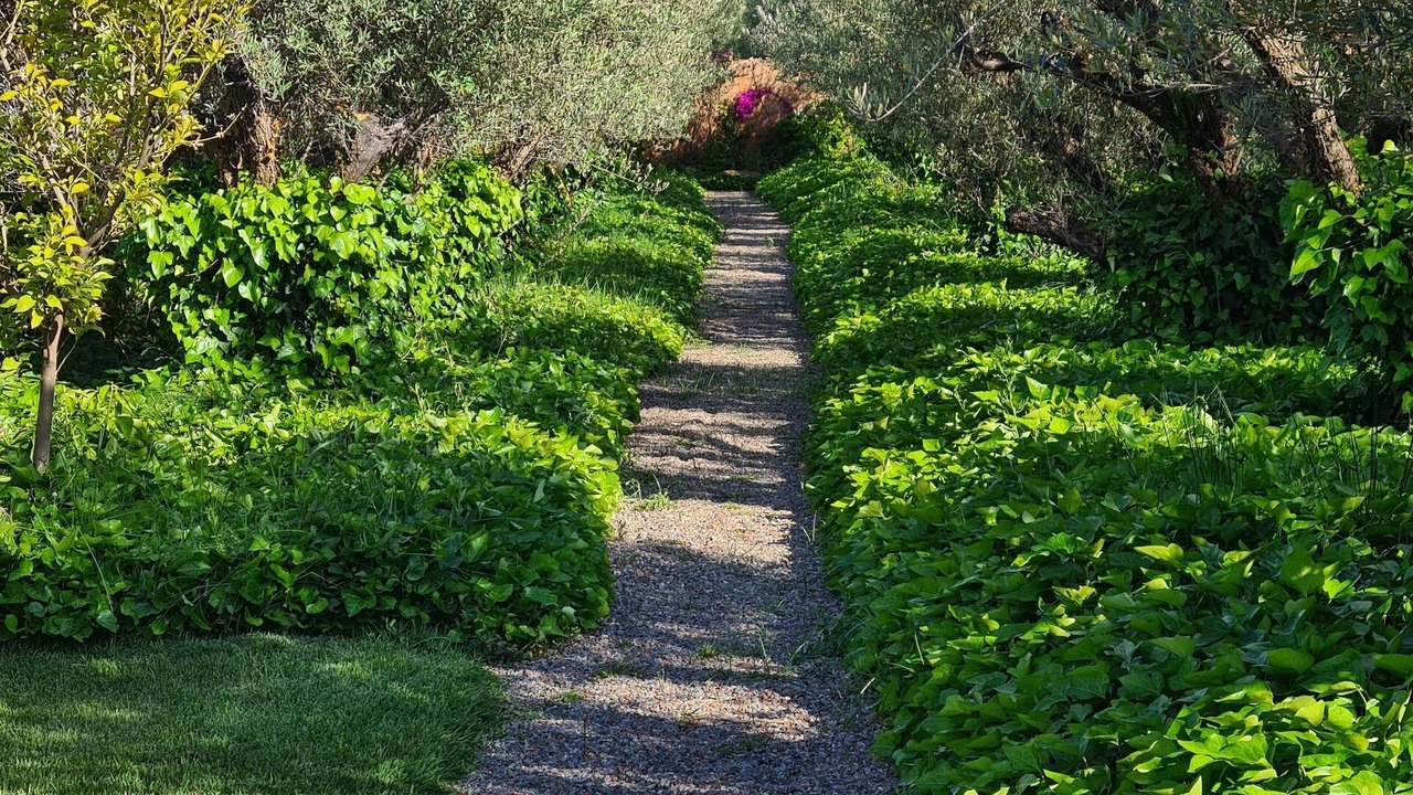 Photo of Outdoor in Ourika