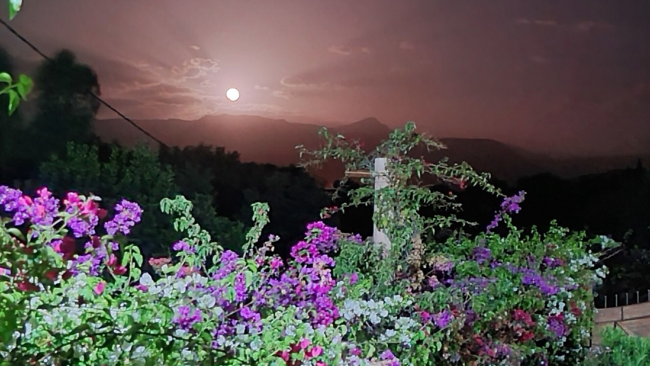 Photo of Outdoor in Ourika