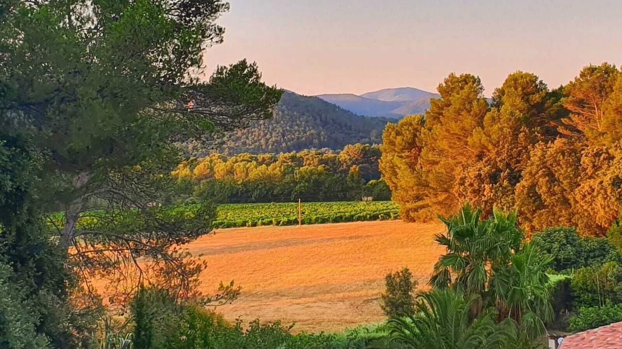 Photo of Others in Les Arcs-sur-Argens