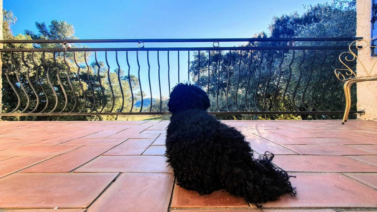Photo of Others in Les Arcs-sur-Argens