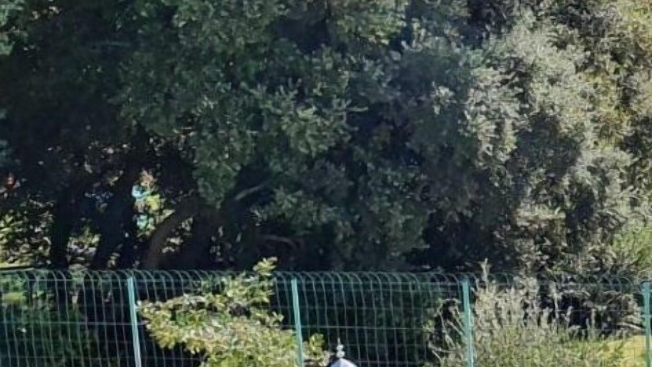Photo of Others in Les Arcs-sur-Argens