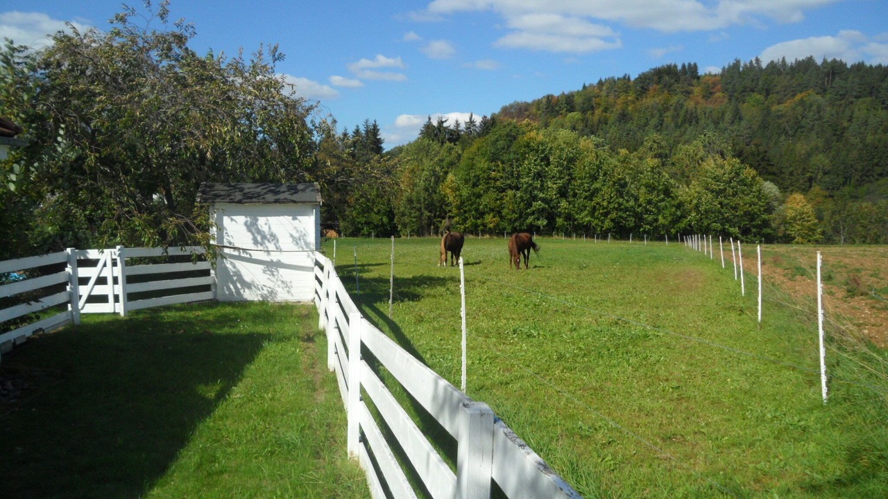 Photo of Outdoor in Gemarkung Stockhausen