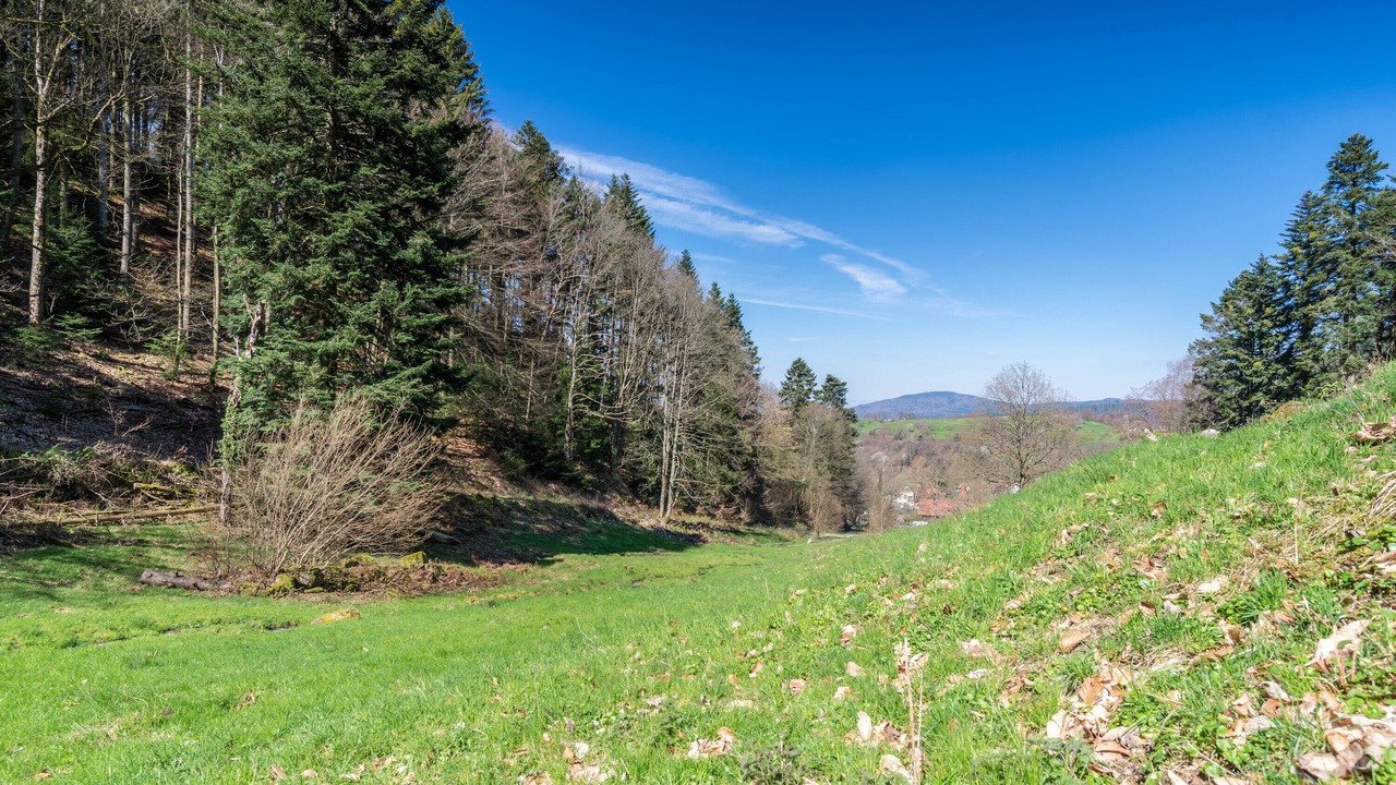 Photo of Others in Scheuern