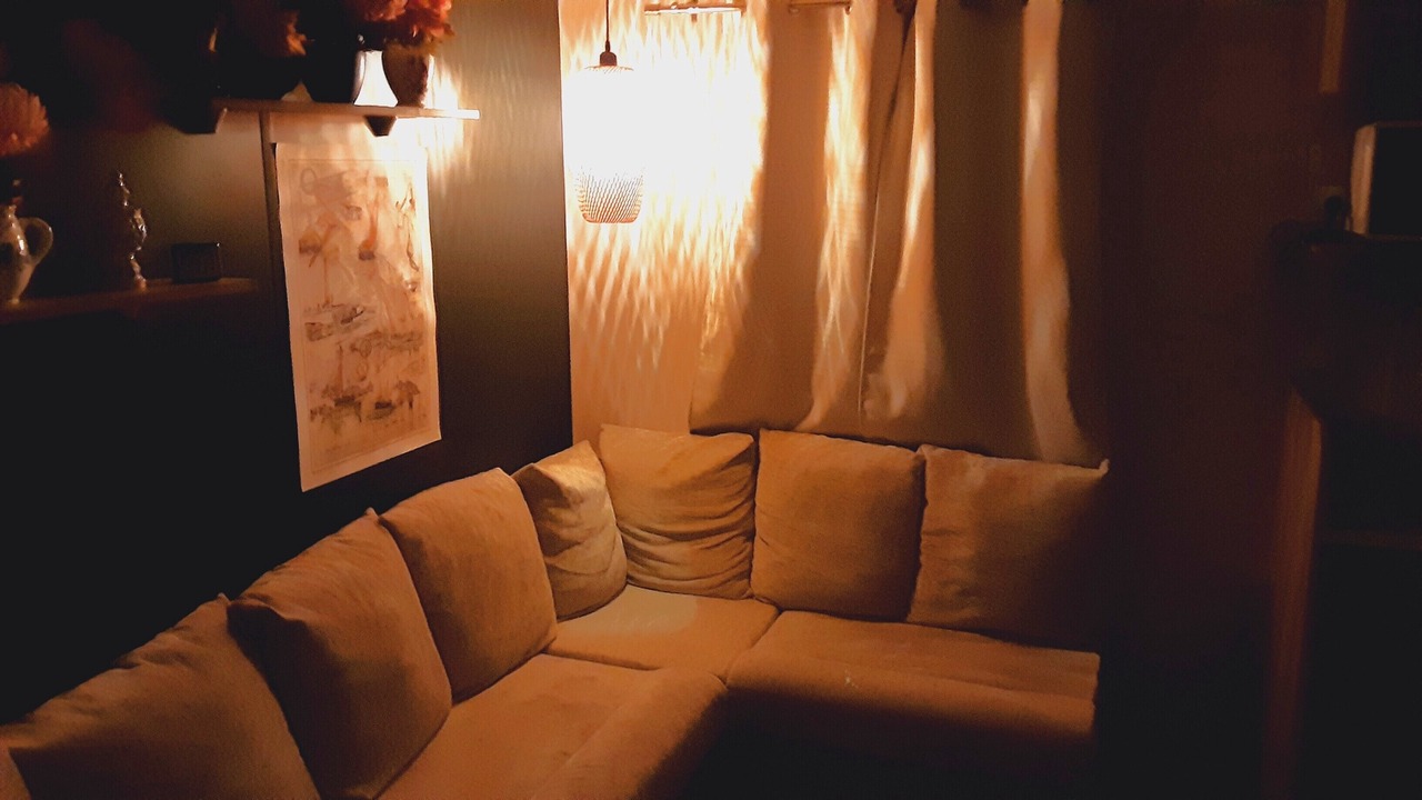 Photo of Livingroom in Litteau