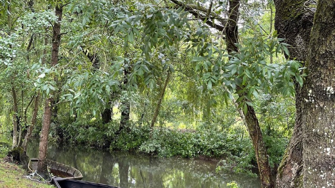 Photo of Outdoor in Liez