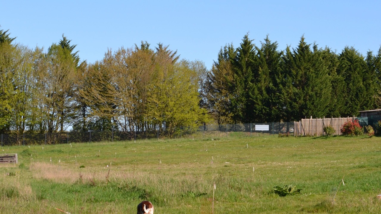 Photo of Outdoor in Thenay