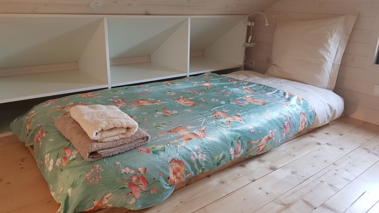 Photo of Bedroom in Thenay