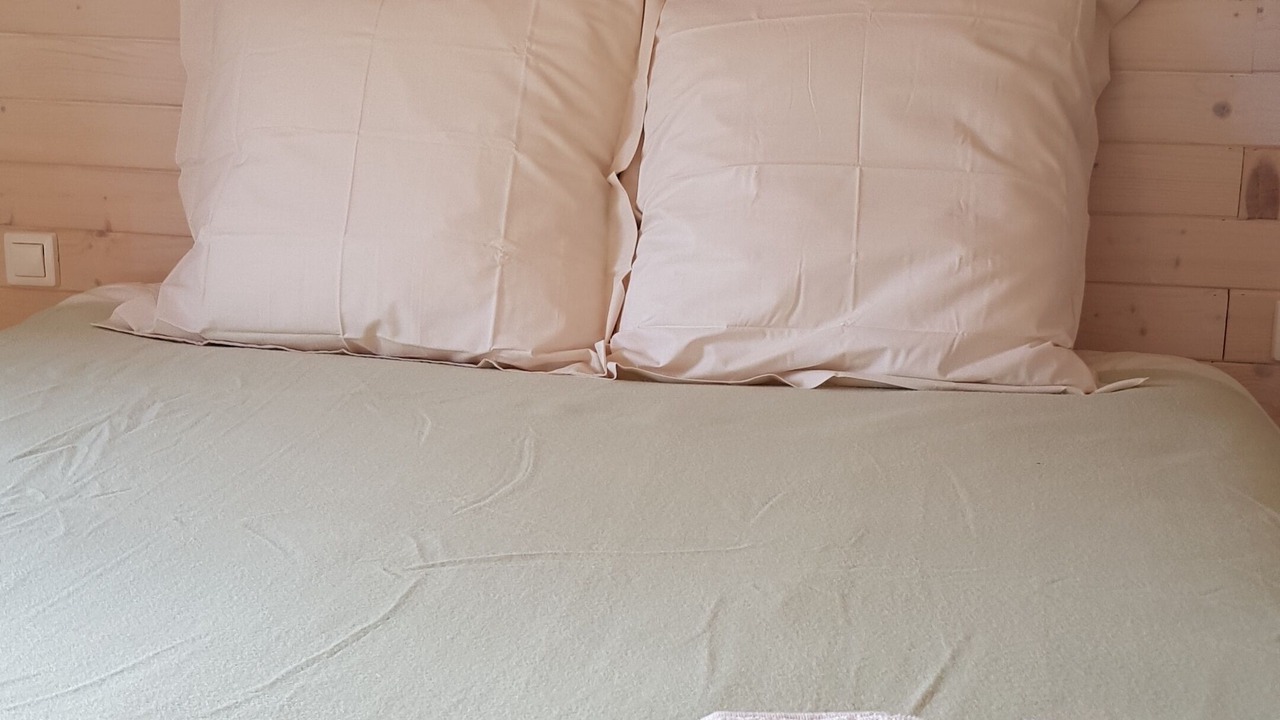 Photo of Bedroom in Thenay