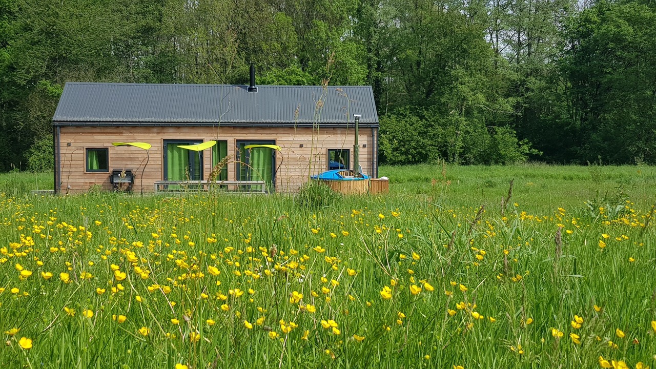 Photo of Outdoor in Thenay