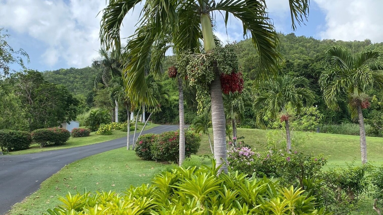 Photo of Outdoor in Estate River