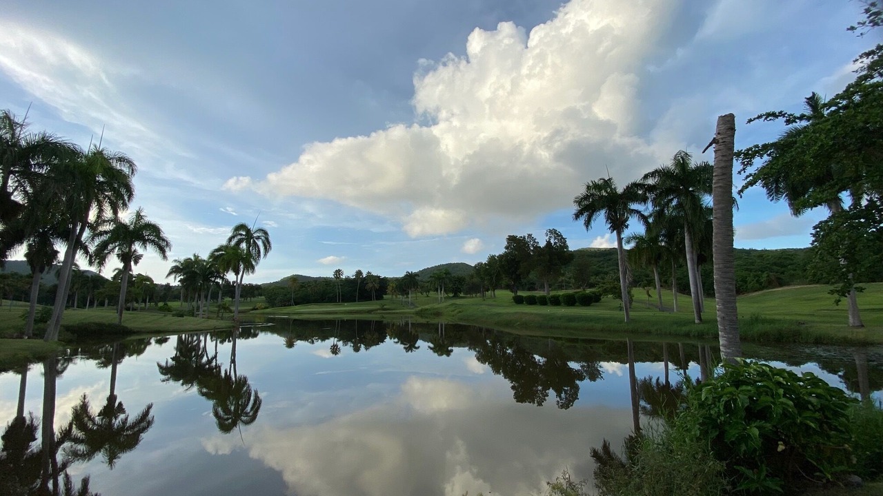 Photo of Others in Estate River