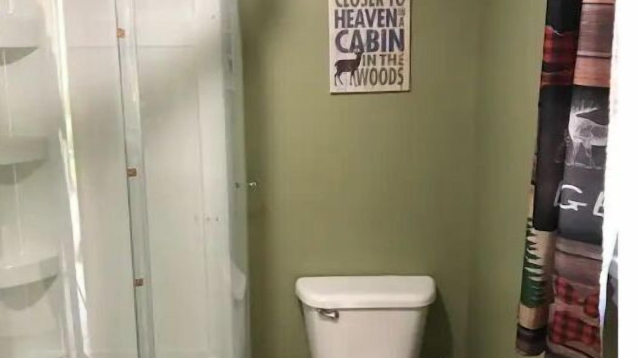 Photo of Bathroom in Dansville