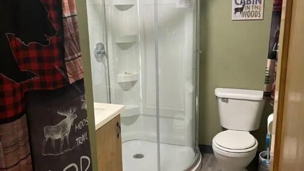 Photo of Bathroom in Dansville