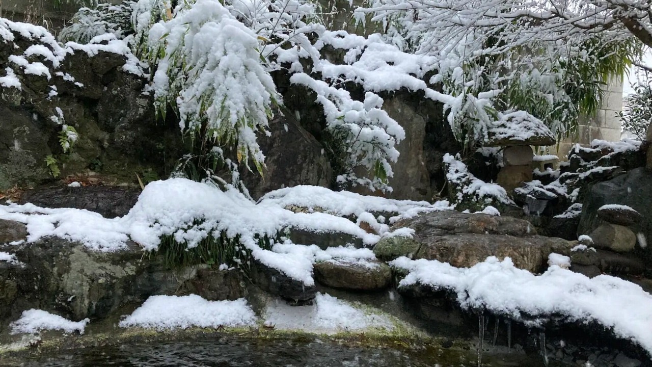 Photo of Outdoor in Sakura