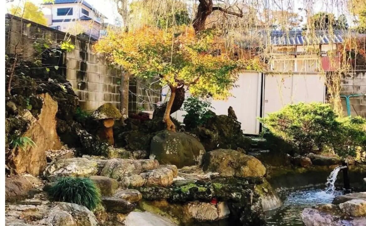 Photo of Outdoor in Sakura