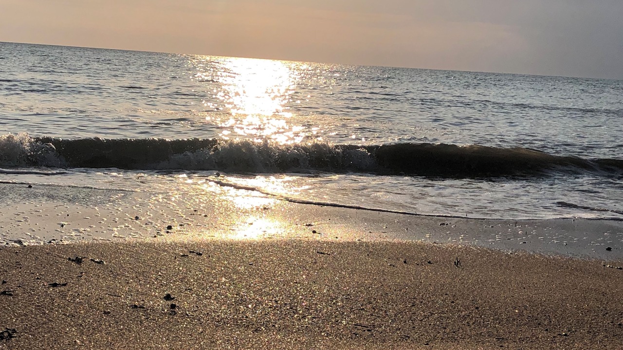 Photo of Others in Hauteville-sur-Mer