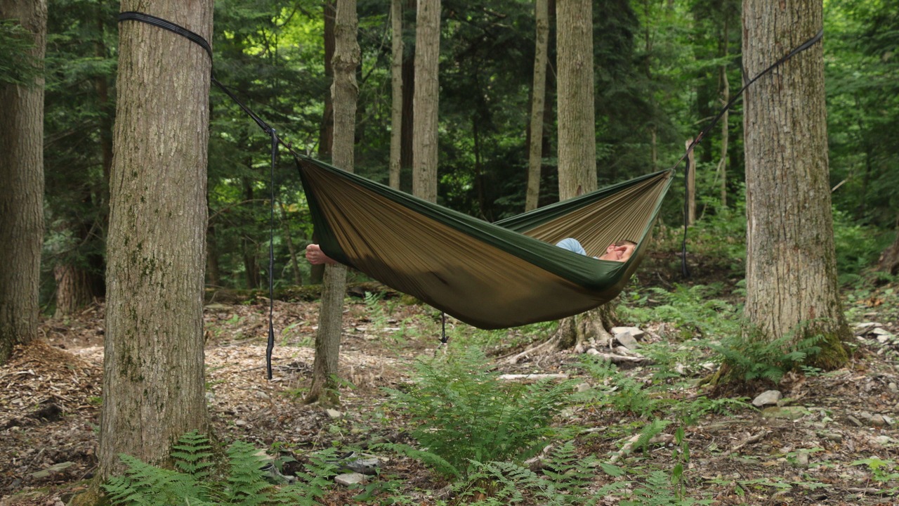 Photo of Outdoor in Dansville