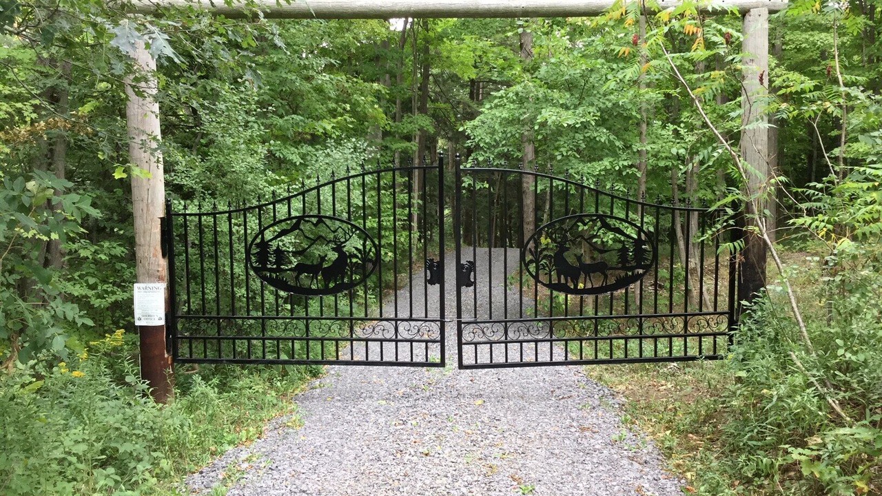 Photo of Outdoor in Dansville