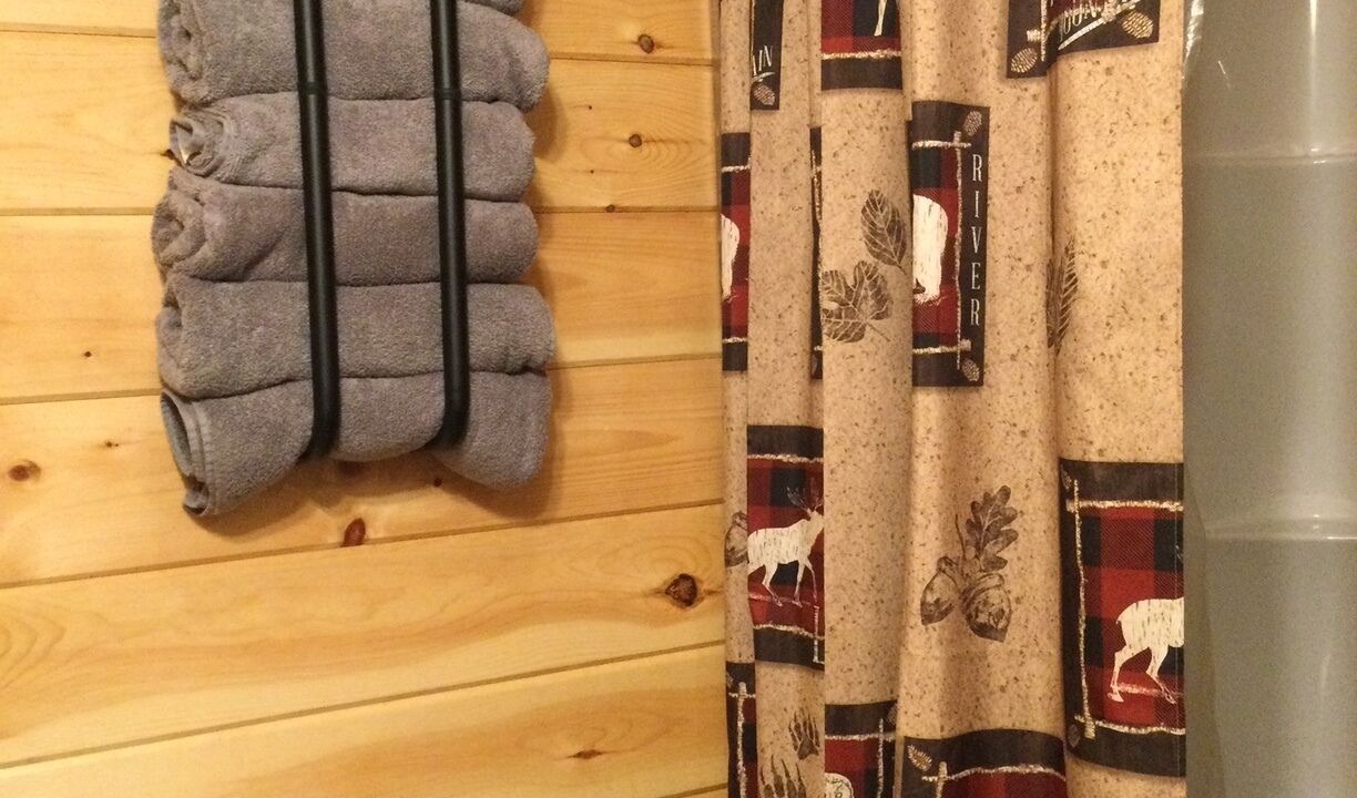 Photo of Bathroom in Dansville