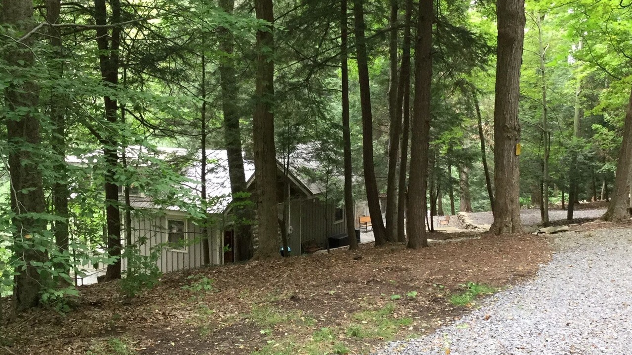 Photo of Outdoor in Dansville