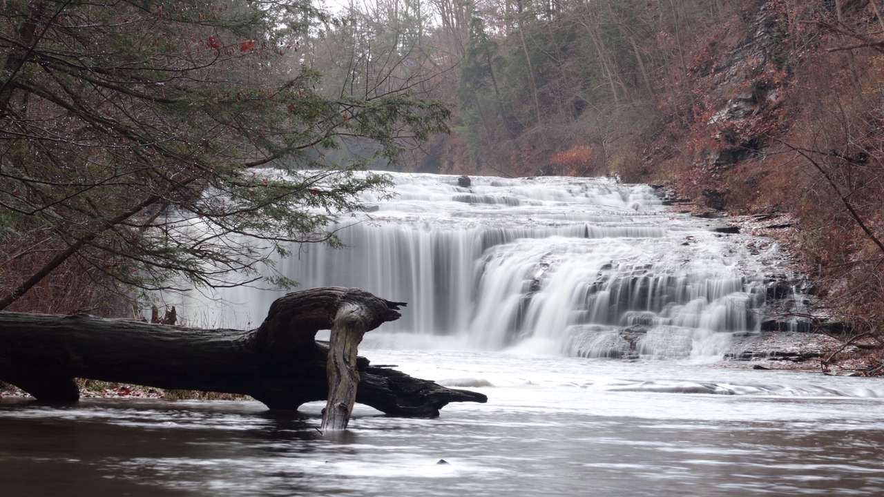 Photo of Outdoor in Dansville