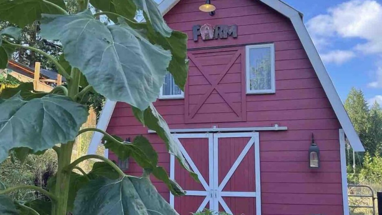 Photo of Outdoor in Mission