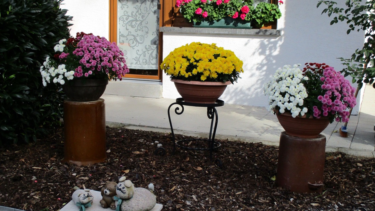 Photo of Outdoor in Sasbachwalden
