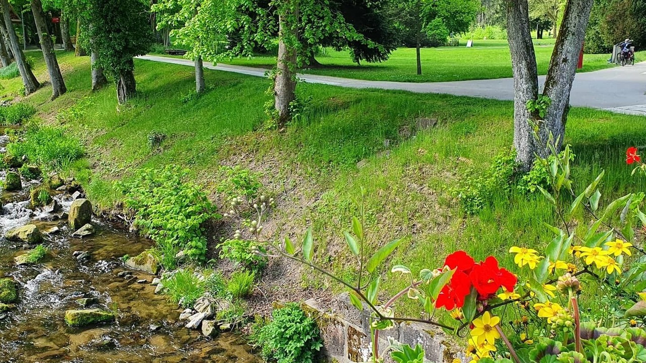 Photo of Outdoor in Bad Herrenalb