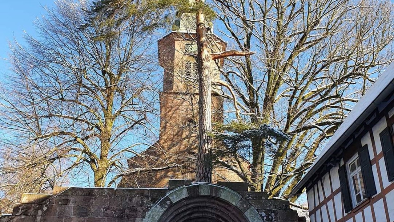 Photo of Others in Bad Herrenalb