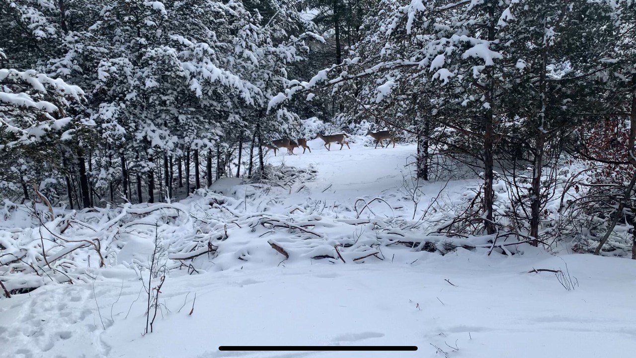 Photo of Others in Rideau Lakes