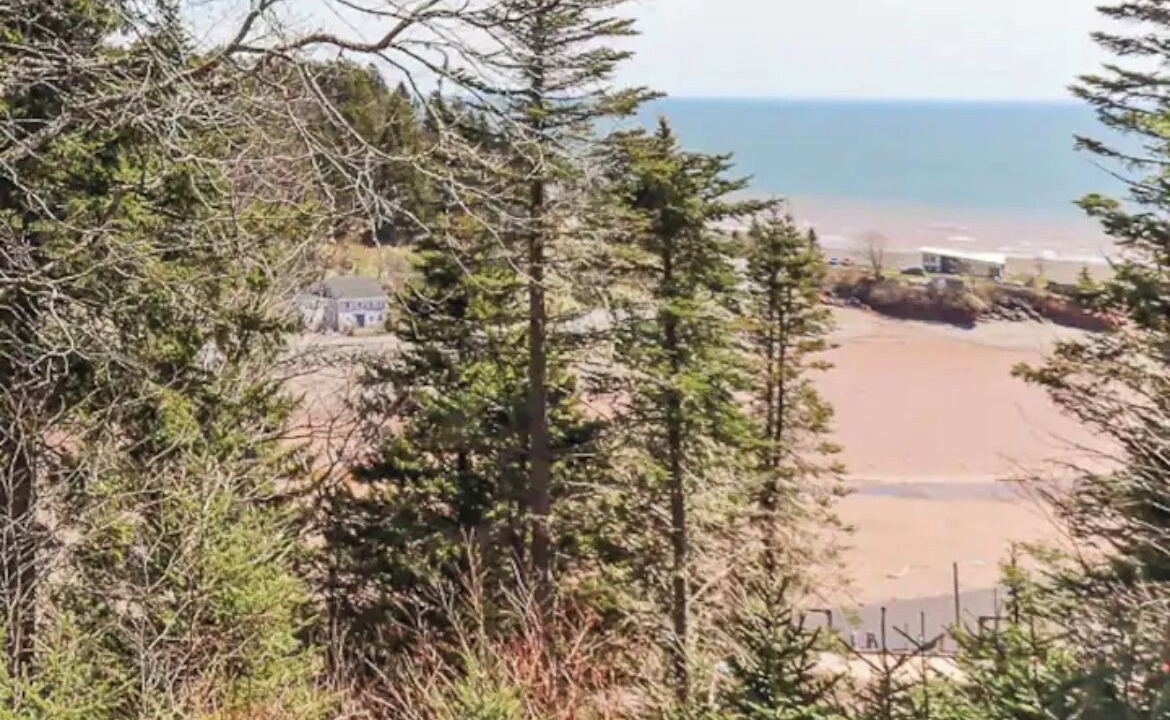 Photo of Others in St. Martins