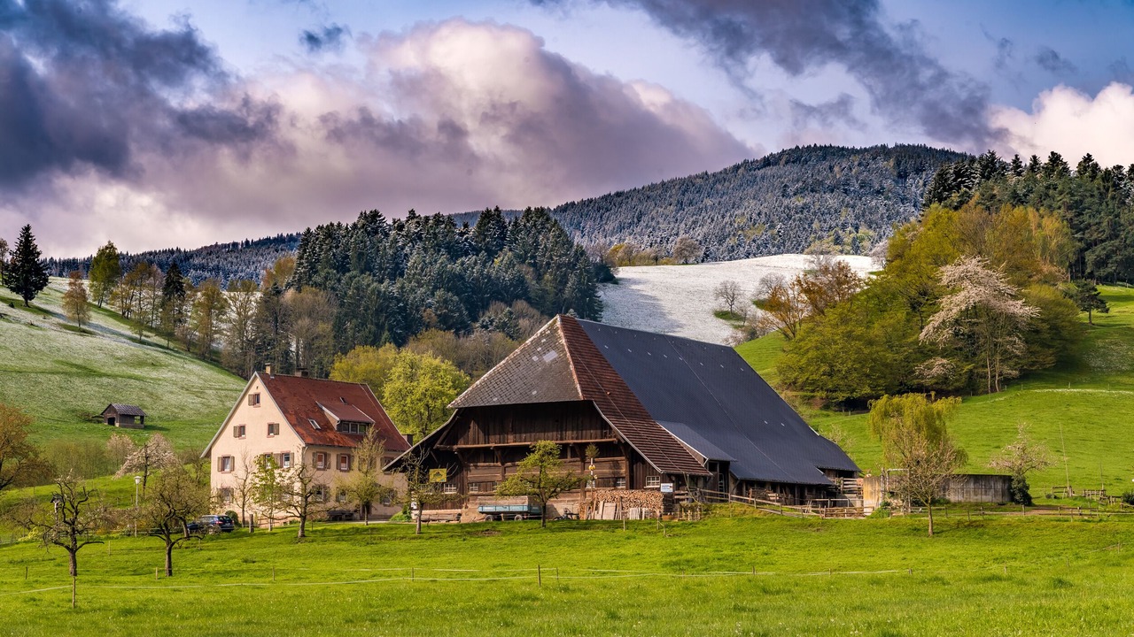 Photo of Outdoor in Todtnauberg