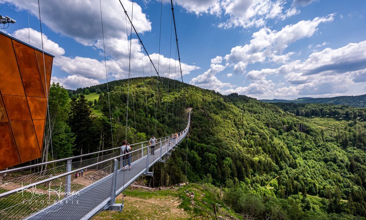 Photo of Others in Todtnauberg